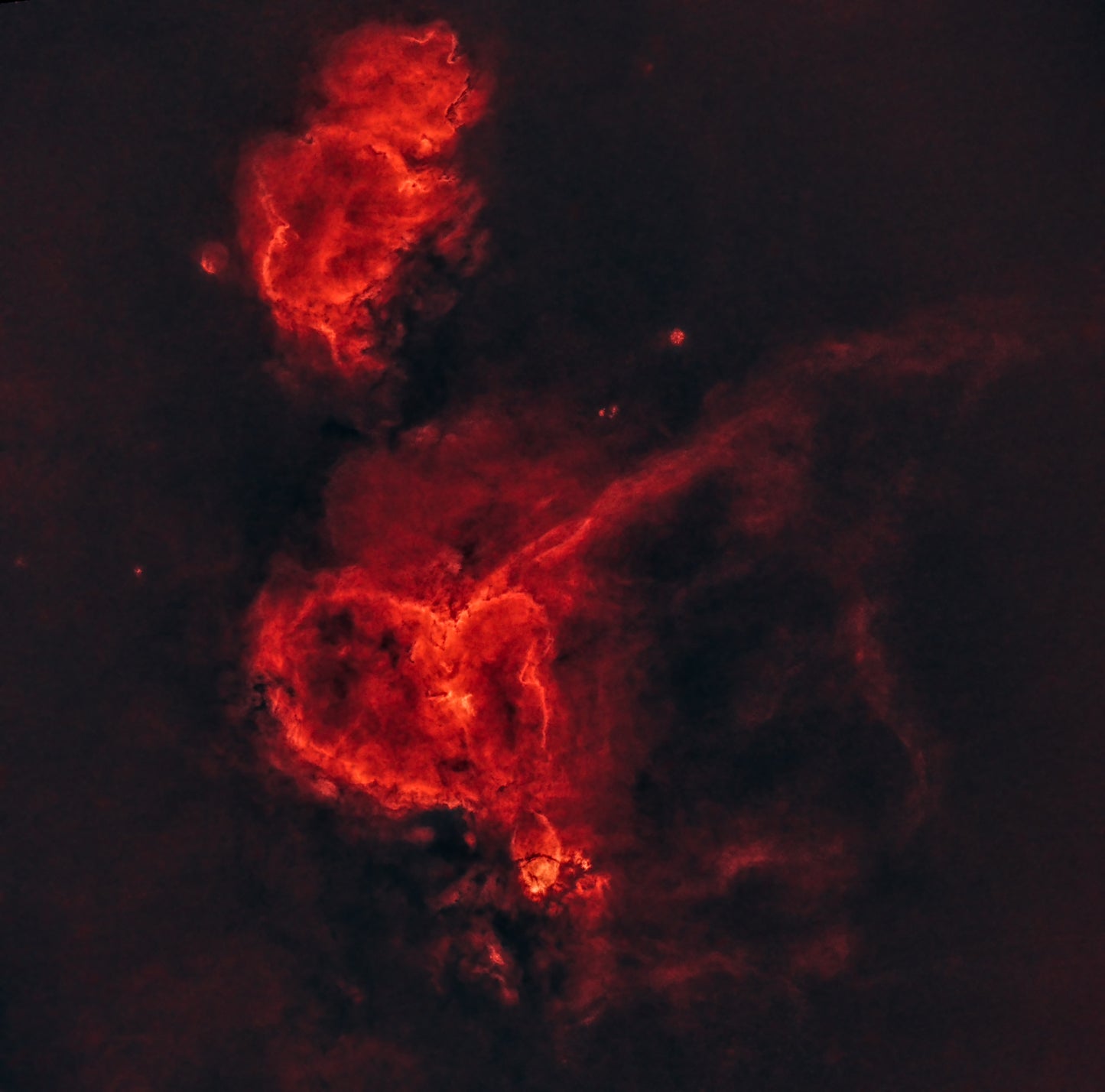 Scarf - Heart & Soul Nebula (Starless version)