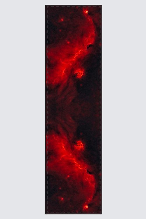 Scarf - Seagull Nebula